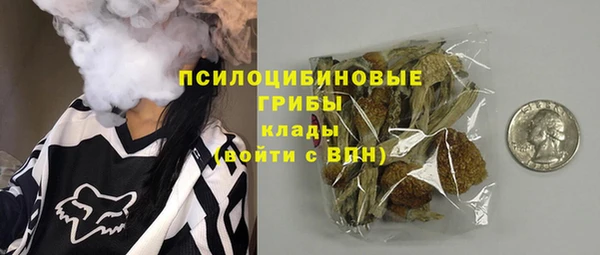 гашик Абаза