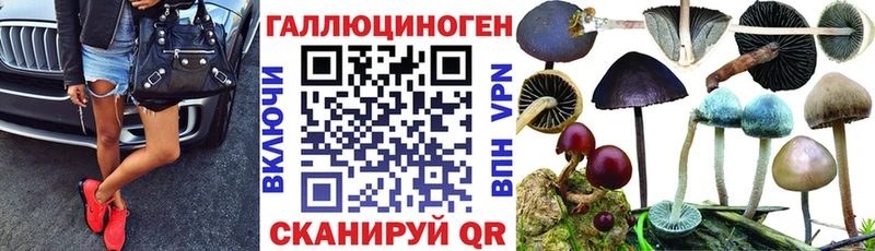 ОМГ ОМГ зеркало  где купить   Чулым  Псилоцибиновые грибы прущие грибы 